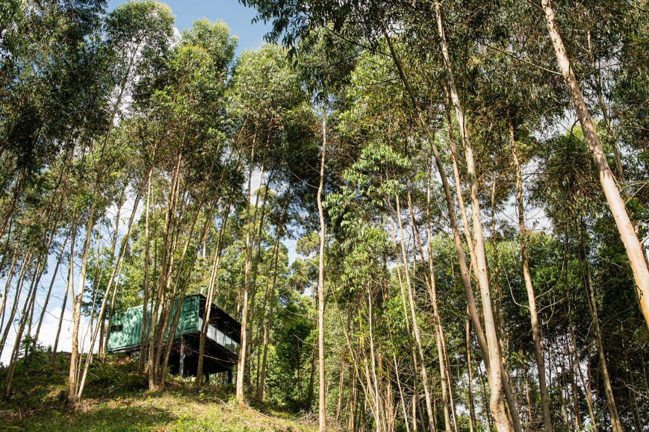 Casa Container Figo Em Meio A Natureza Na Serra Gaucha Flores da Cunha Exterior foto