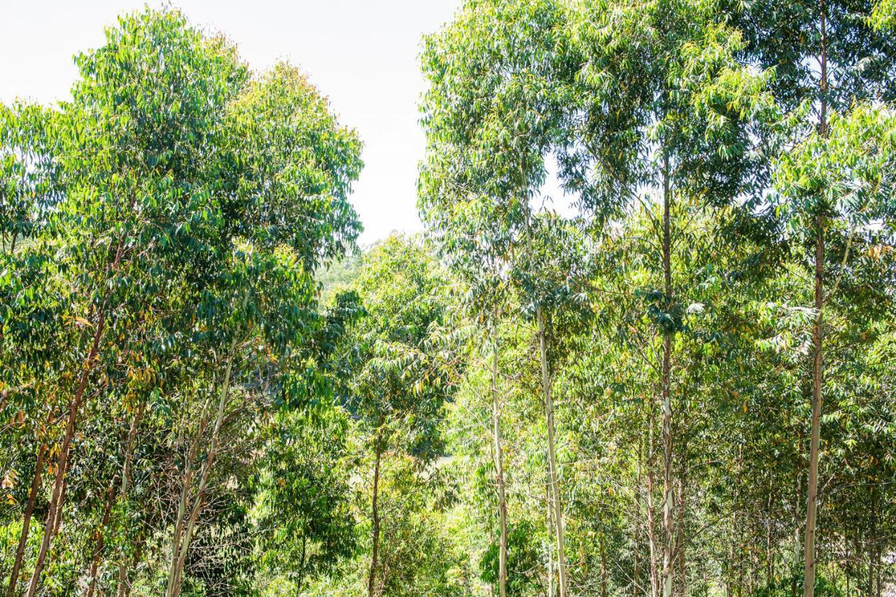 Casa Container Figo Em Meio A Natureza Na Serra Gaucha Flores da Cunha Exterior foto